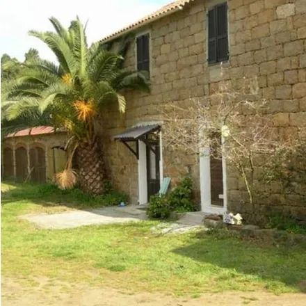 Image 7 - Belvédère-Campomoro, South Corsica, France - House for rent