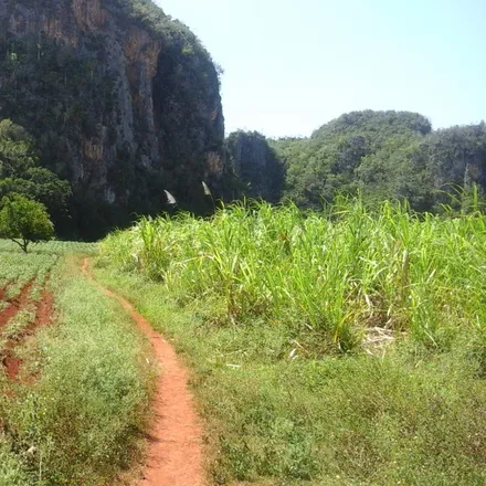 Image 8 - Viñales, La Salvadera, PINAR DEL RIO, CU - House for rent