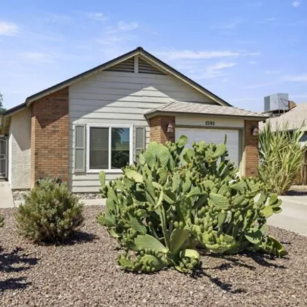 Rent this 3 bed house on 1590 West Curry Drive in Chandler, AZ 85224