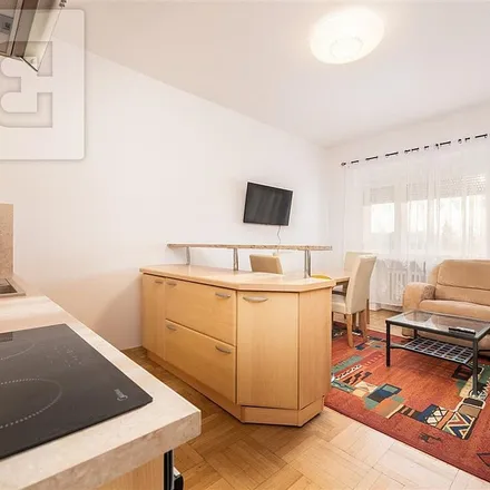 Image 4 - Pellicova, 656 53 Brno, Czechia - Apartment for rent