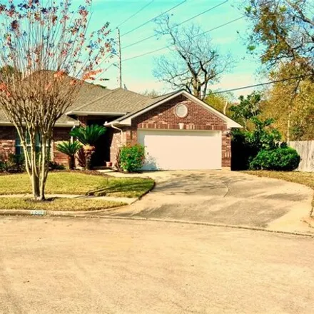 Image 1 - 16300 Concord Falls Lane, Fort Bend County, TX 77498, USA - House for rent
