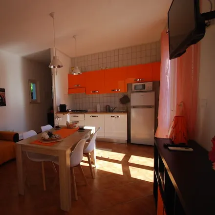 Image 2 - 57031 Lacona LI, Italy - Apartment for rent