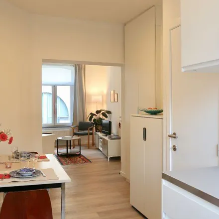Image 4 - Rue Mercelis - Mercelisstraat 33C, 1050 Ixelles - Elsene, Belgium - Apartment for rent