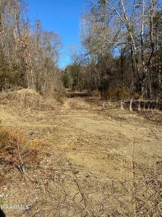 Image 1 - 1501 Big Gully Road, Blount County, TN 37801, USA - House for sale