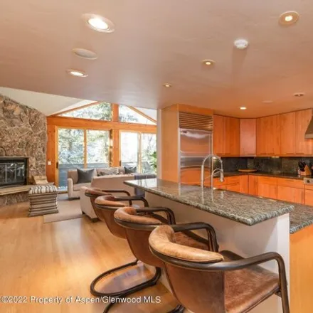 Image 5 - 1099 East Hyman Avenue, Aspen, CO 81611, USA - House for rent