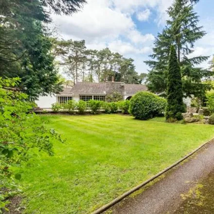Image 3 - Egmont Drive, Ringwood, Hampshire, Bh24 - House for sale