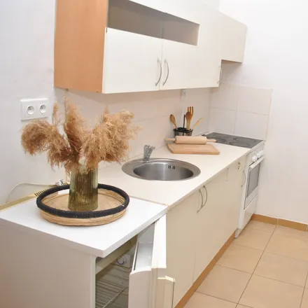 Image 5 - Spolková 297/9, 602 00 Brno, Czechia - Apartment for rent