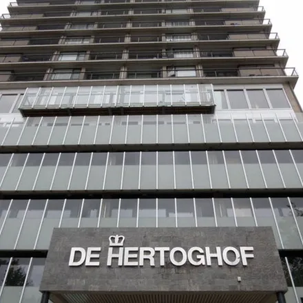 Image 4 - Hertog Hendrik van Brabantplein 69, 5611 PJ Eindhoven, Netherlands - Apartment for rent