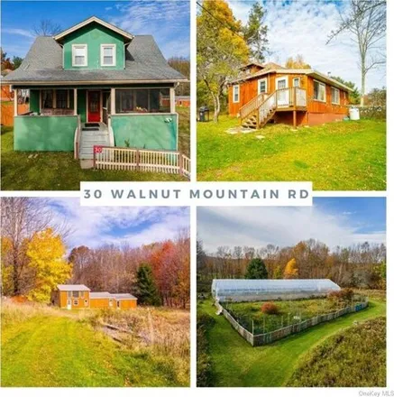 Image 3 - 38 Walnut Mountain Road, Liberty, Sullivan County, NY 12754, USA - House for sale