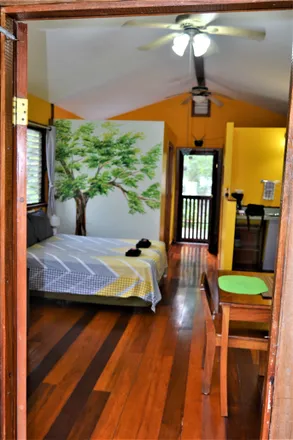 Image 3 - Prickly Yellow Street, San Ignacio & Santa Elena, Belize - Apartment for rent