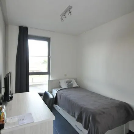 Image 3 - Ruggestraat 3, 8580 Avelgem, Belgium - Apartment for rent