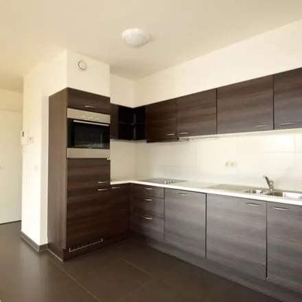 Rent this 2 bed apartment on Veemarkt - Marché au Bétail 29 in 9600 Ronse - Renaix, Belgium