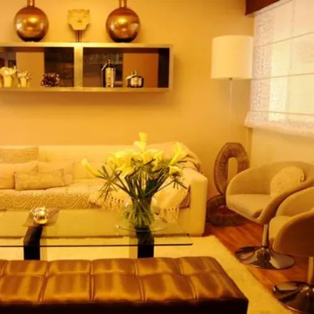 Rent this 1 bed apartment on Lima Metropolitan Area in San Borja, PE