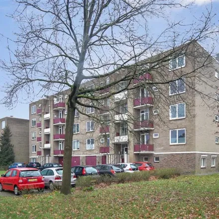Rent this 4 bed apartment on Bakenbergseweg 262 in 6816 PE Arnhem, Netherlands