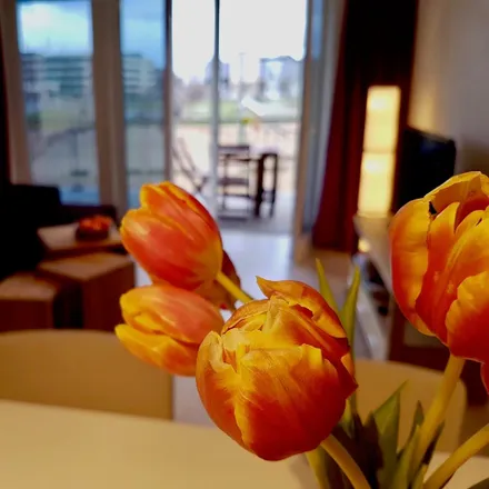 Rent this 1 bed apartment on Thessaloniki-Allee 1 in 51103 Cologne, Germany