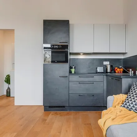 Rent this 1 bed apartment on Kaizlovy sady 433/9 in 186 00 Prague, Czechia