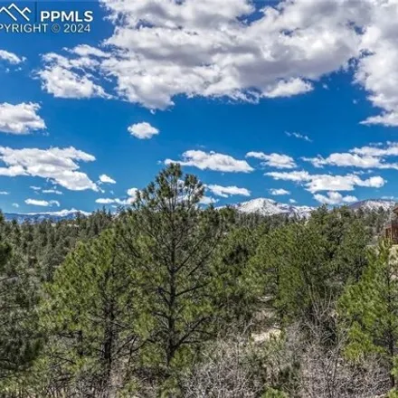 Image 6 - 718 Timber Valley Road, El Paso County, CO 80919, USA - House for sale