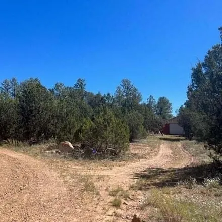 Image 3 - Bigler Road, Navajo County, AZ 85933, USA - House for sale