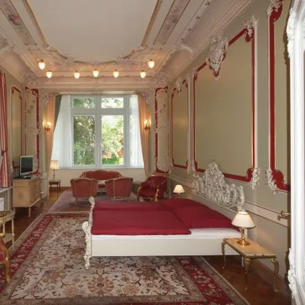 Image 1 - Villa Haniel, Leubnitzer Straße 7, 01069 Dresden, Germany - Apartment for rent