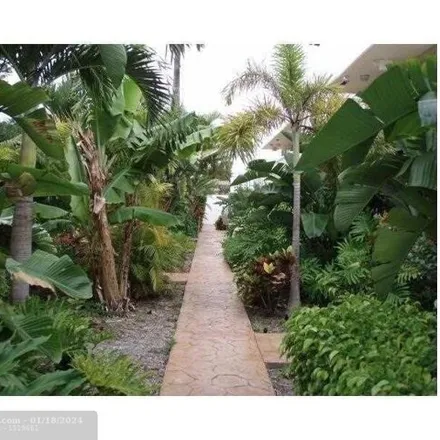 Rent this 1 bed apartment on 638 Northeast 29th Drive in Wilton Manors, FL 33334