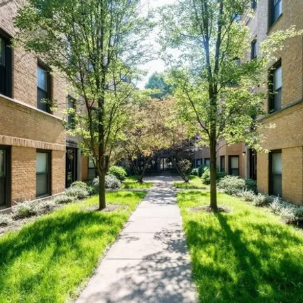 Rent this 2 bed condo on 7635.5 N Greenview Ave Apt 2n in Chicago, Illinois