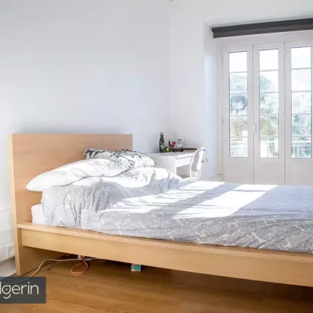 Rent this studio room on Botequim do Rei in Alameda Cardeal Cerejeira, 1050-215 Lisbon