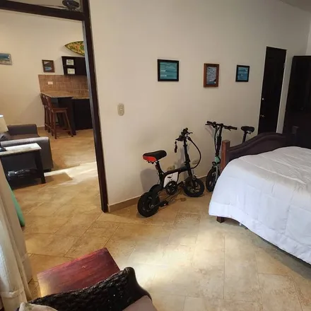 Rent this 1 bed apartment on Puntarenas Province in Bahía Ballena, 60504 Costa Rica