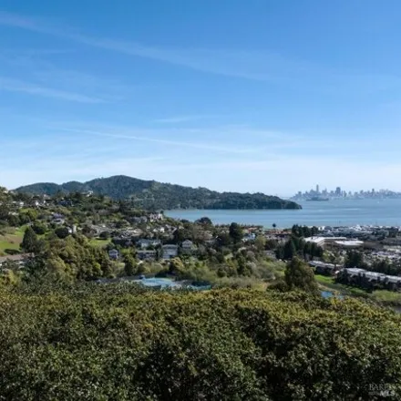 Image 3 - 59 Corinthian Court, Hill Haven, Tiburon, CA 94920, USA - Condo for sale