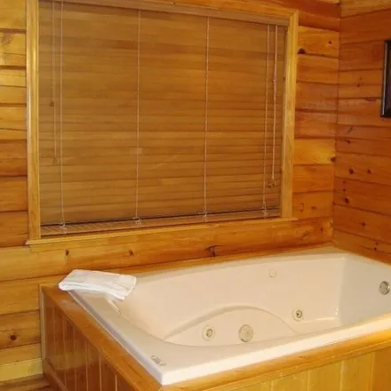 Image 3 - Pigeon Forge, TN - House for rent