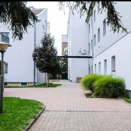 Image 3 - Cejl 542/97, 602 00 Brno, Czechia - Apartment for rent