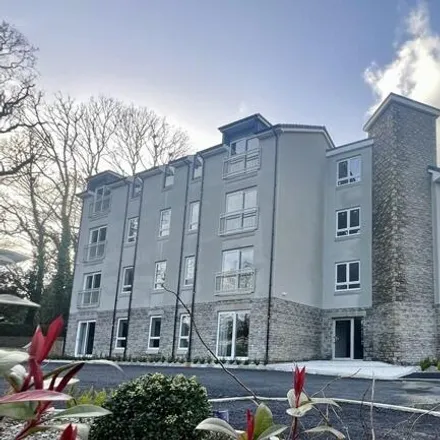 Rent this 2 bed apartment on Bronwydd Road in Carmarthen, SA31 2AL