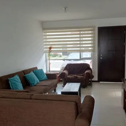 Buy this studio house on unnamed road in 170803, Conocoto
