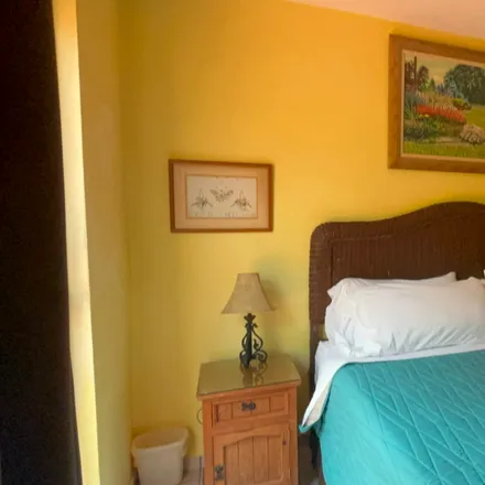 Rent this 1 bed apartment on 55 Avenida Sur in 77660 San Miguel de Cozumel, ROO