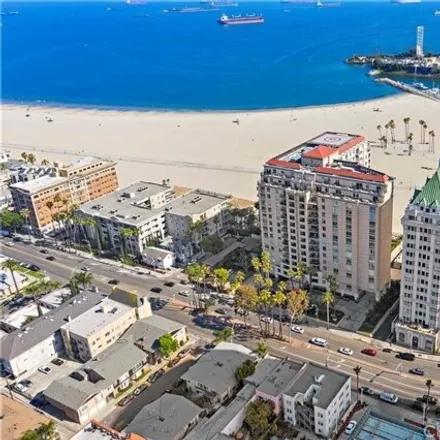 Image 8 - The Pacific, 850 East Ocean Boulevard, Long Beach, CA 90802, USA - Condo for rent