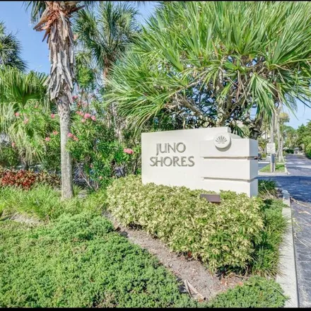 Image 8 - unnamed road, Juno Beach, Palm Beach County, FL 33408, USA - Apartment for rent