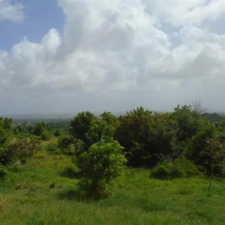 Buy this studio house on Russia Gully in Airy Hill, Barbados