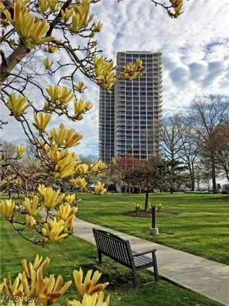 Image 1 - Winton Place Condominiums, Gold Coast Lane, Lakewood, OH 44107, USA - Condo for sale