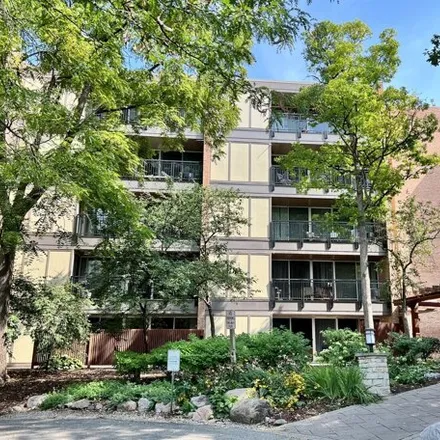 Rent this 1 bed condo on 6003 Oakwood Drive in Lisle, IL 60532