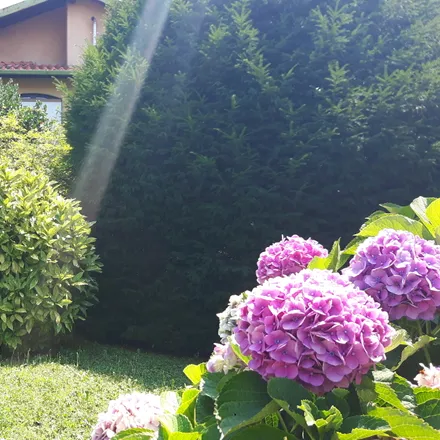 Rent this 2 bed apartment on Via alle Cascine in 22021 San Giovanni CO, Italy
