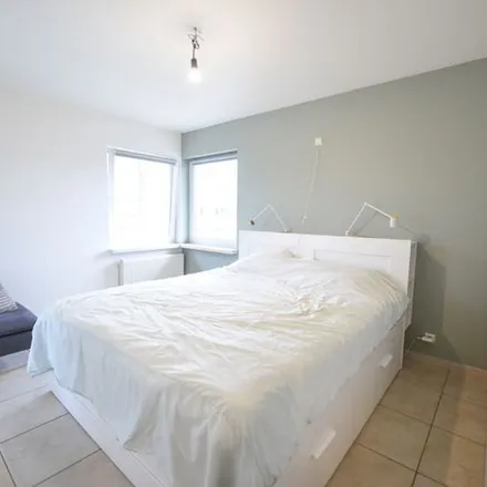 Rent this 2 bed apartment on Olsene Kerk in Grote Steenweg, 9870 Olsene