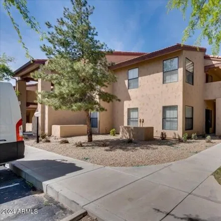 Rent this 2 bed apartment on North Evergreen Street in Chandler, AZ 85224