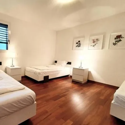 Image 1 - Locarno, Distretto di Locarno, Switzerland - Apartment for rent