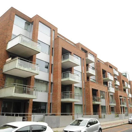 Image 3 - Ranonkelstraat 69, 3202 JV Spijkenisse, Netherlands - Apartment for rent