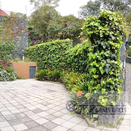 Rent this studio house on unnamed road in Miguel Hidalgo, 11950 Mexico City