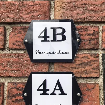Image 3 - PLUS, Adriaen van Ostadelaan 40, 3583 AJ Utrecht, Netherlands - Apartment for rent