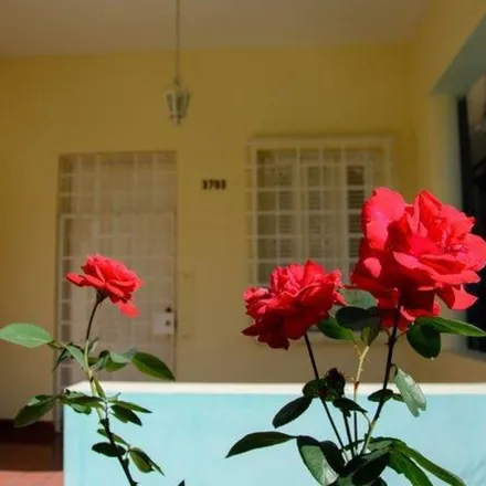 Image 7 - Havana, Almendares, HAVANA, CU - Apartment for rent