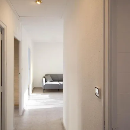 Image 6 - Nuevo, Carrer Acadèmic Maravall, 46800 Xàtiva, Spain - Apartment for rent