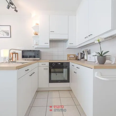 Rent this 1 bed apartment on Albert I-laan 315 in 8620 Nieuwpoort, Belgium
