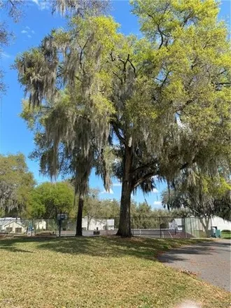 Image 6 - 6701 Downing Street, Citrus County, FL 34452, USA - Condo for sale