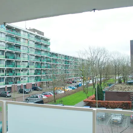 Image 3 - Roodborststraat, 2352 VM Leiderdorp, Netherlands - Apartment for rent